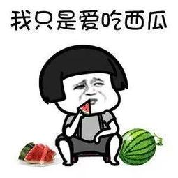 娱乐吃瓜公益,跨界融合,传递正能量